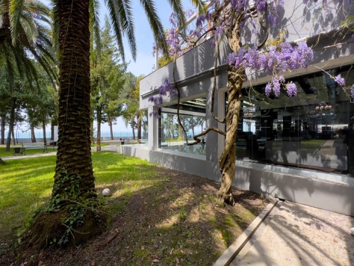 Отель «Жоэквара» - г. Гагра