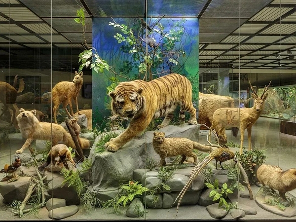 "Музей Дарвина”